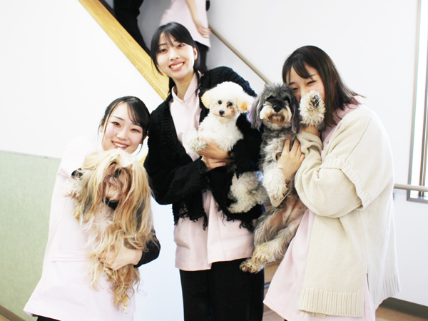 モデル犬のお世話＆お散歩♪